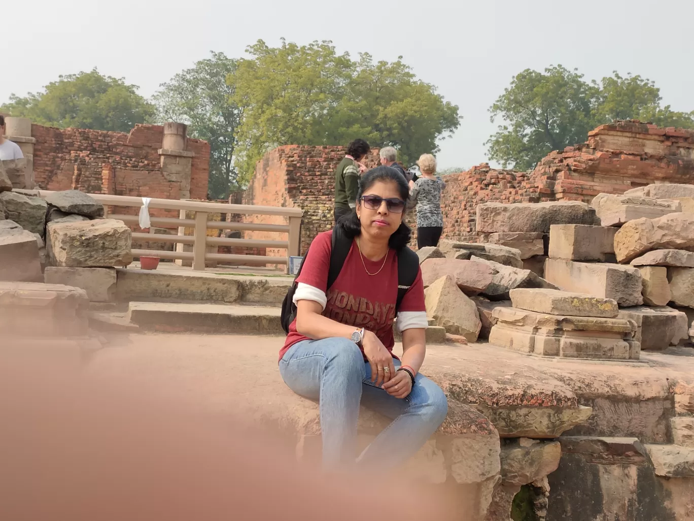 Photo of Sarnath By Sushma Krishnaswamy