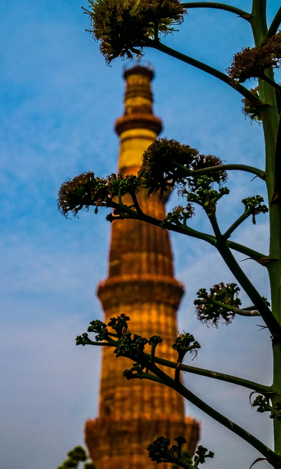 Photo of Qutub Minar By Sanchit Goyal