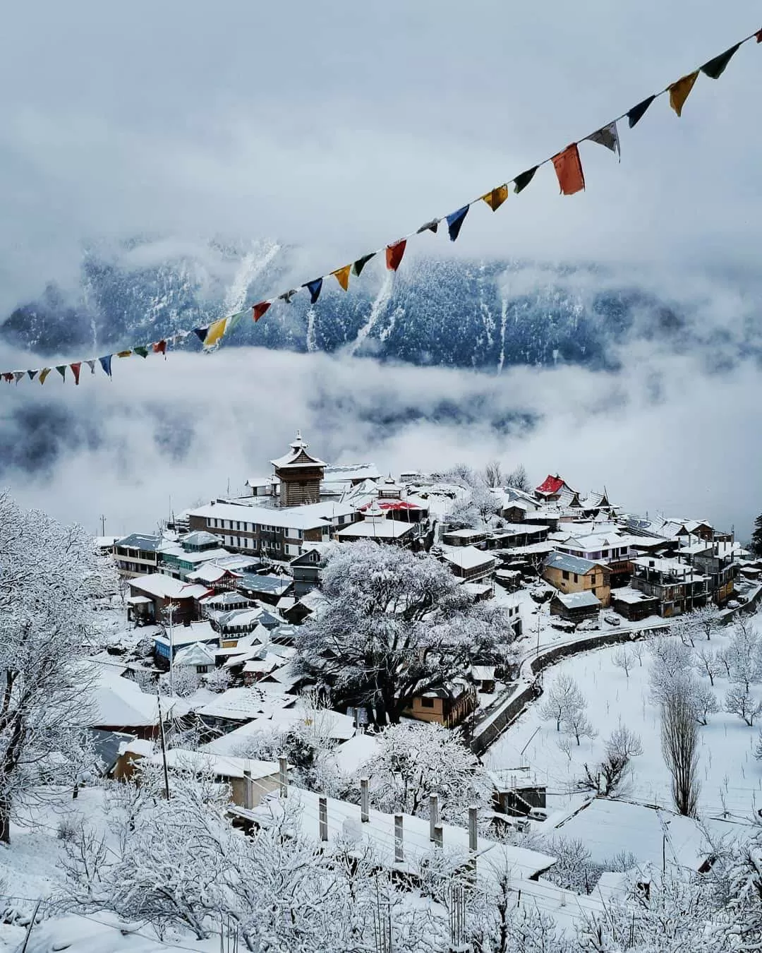 Photo of Kalpa By Apurb Singh