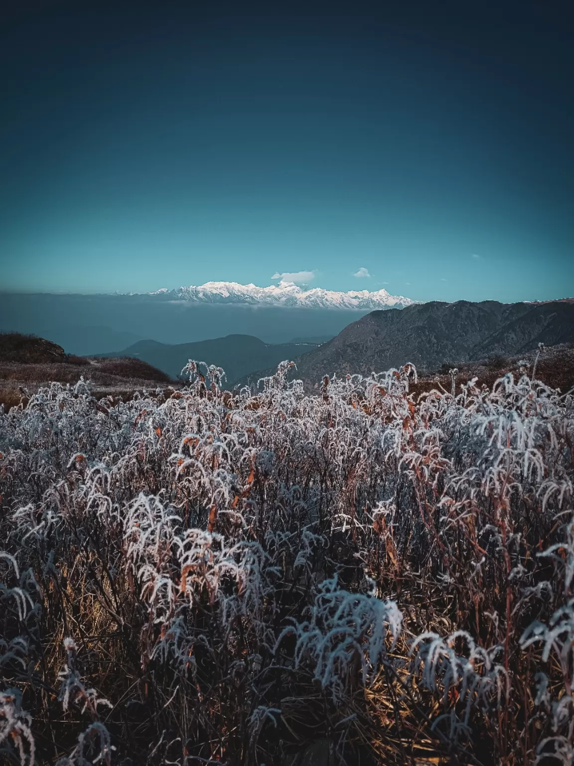 Photo of Nathang Valley By Suraj Naik