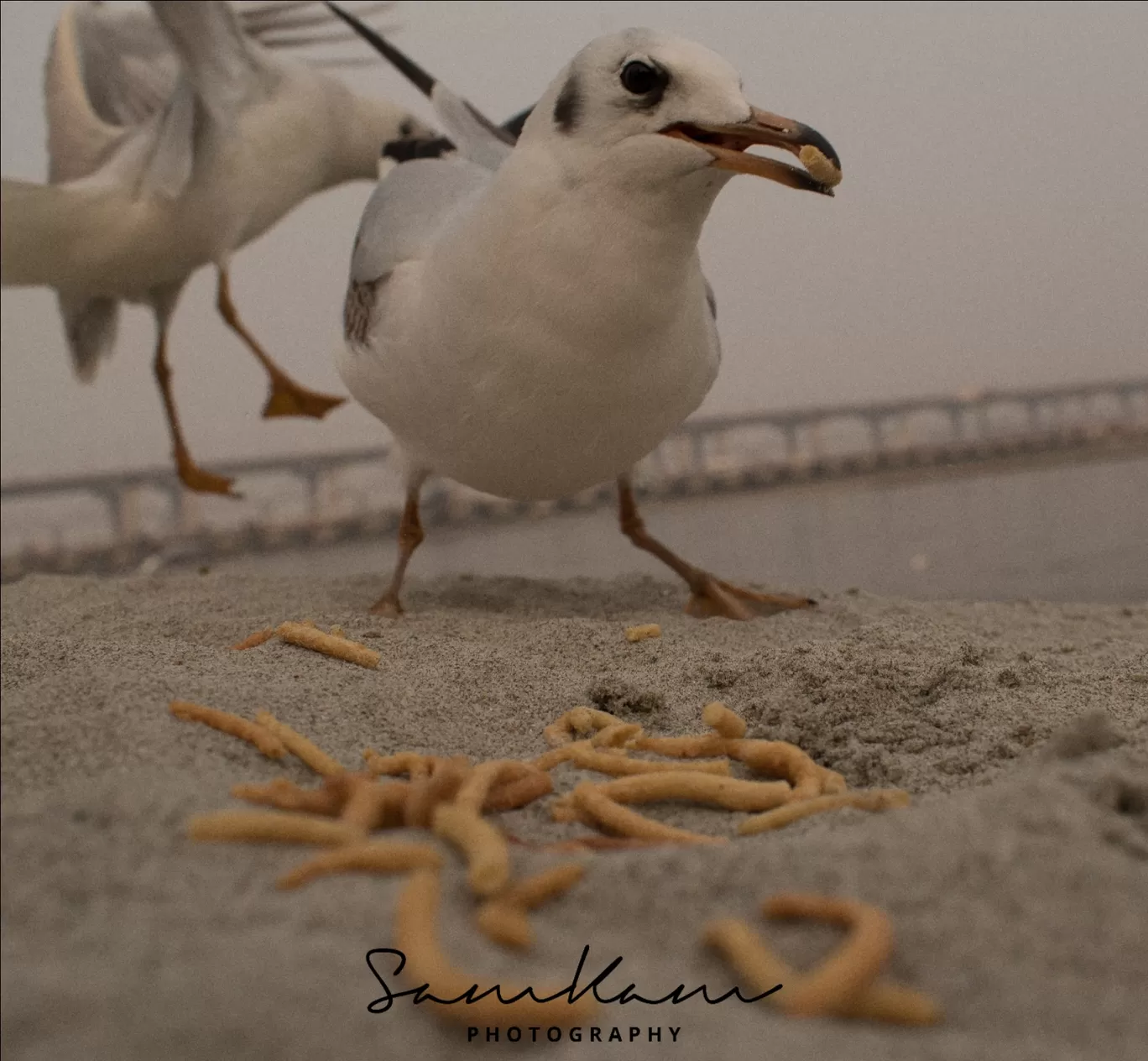 Photo of Prayagraj By SAMPATH KAMATH
