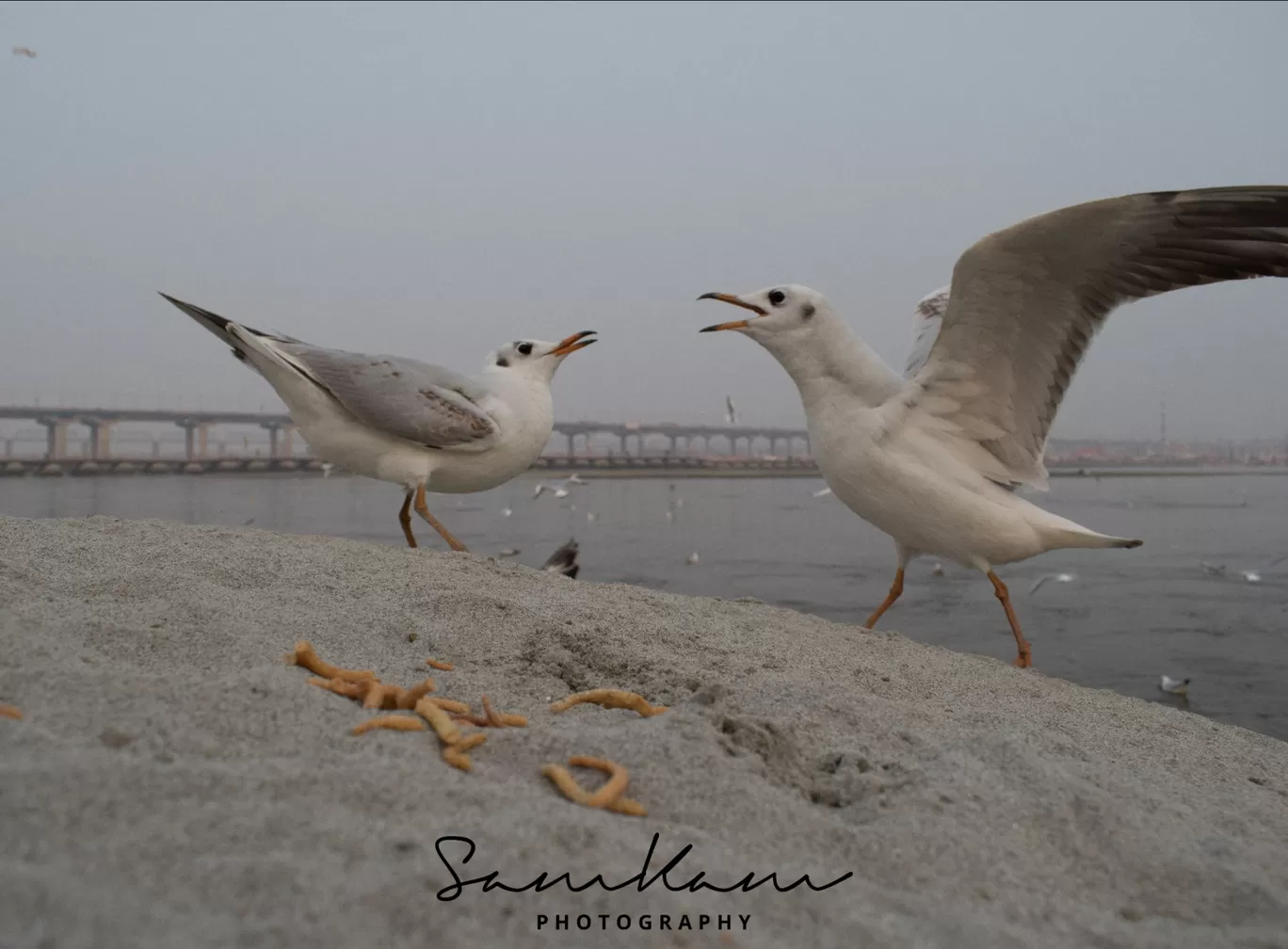 Photo of Prayagraj By SAMPATH KAMATH