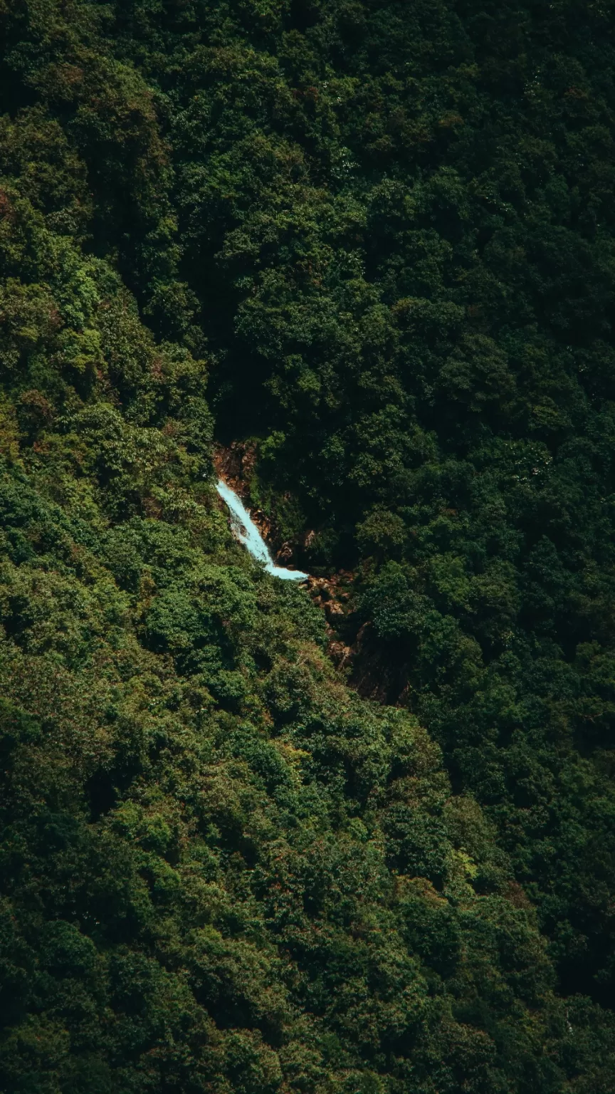 Photo of Meghalaya By Vicky Bhusara