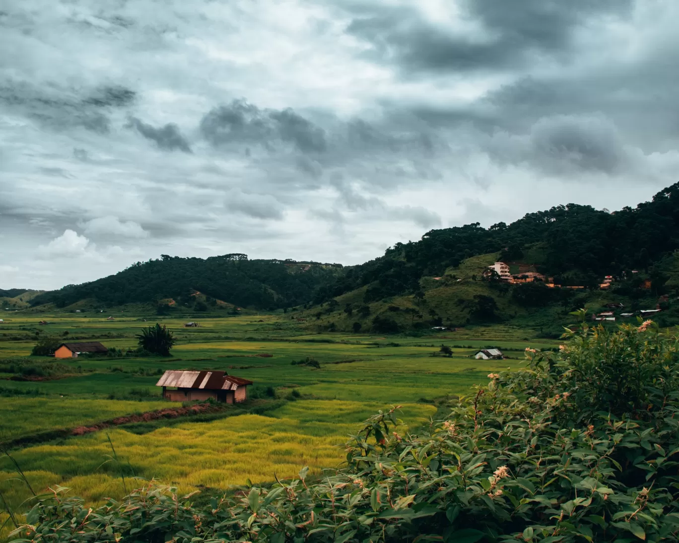 Photo of Meghalaya By Vicky Bhusara