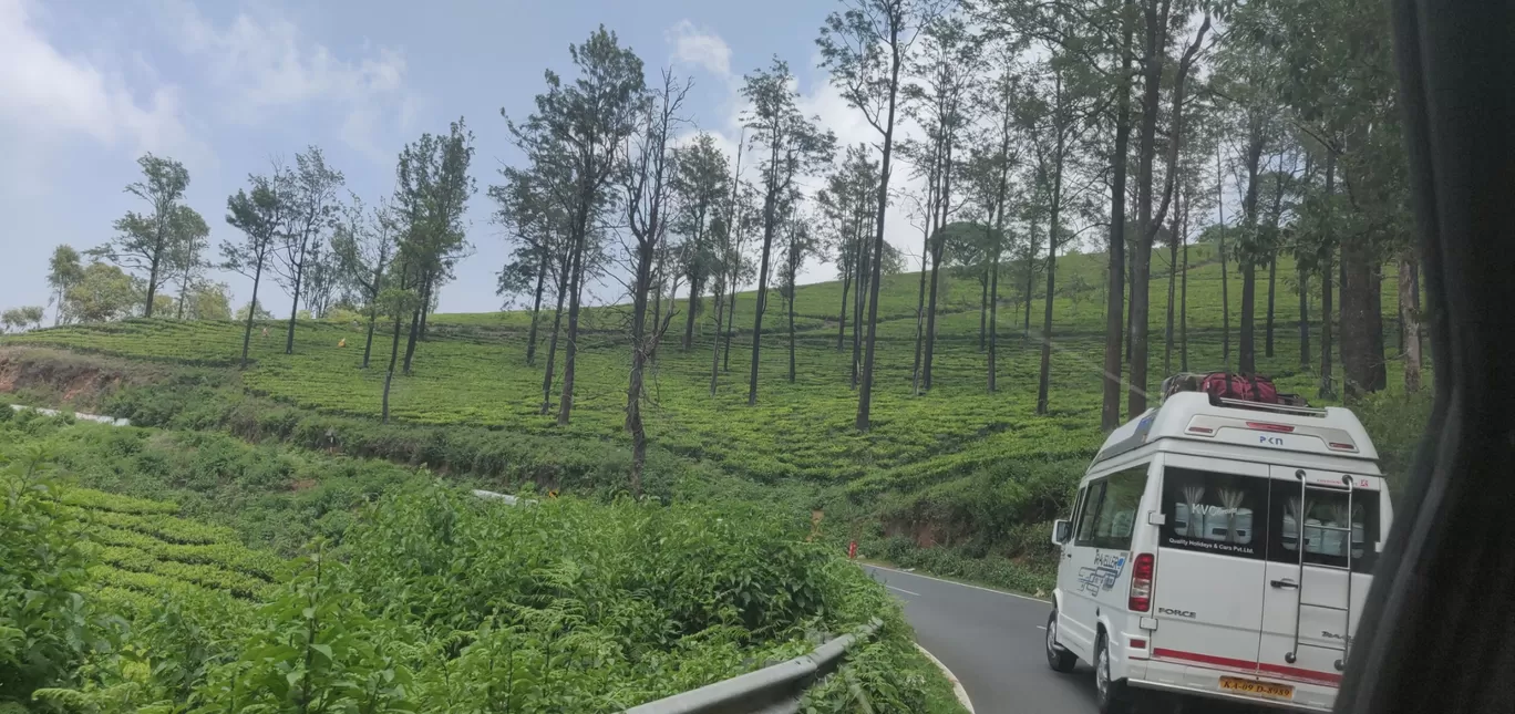 Photo of Bandipur By pallavi tadas