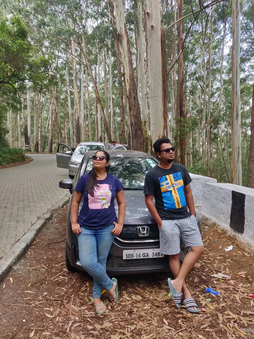 Photo of Bandipur By pallavi tadas