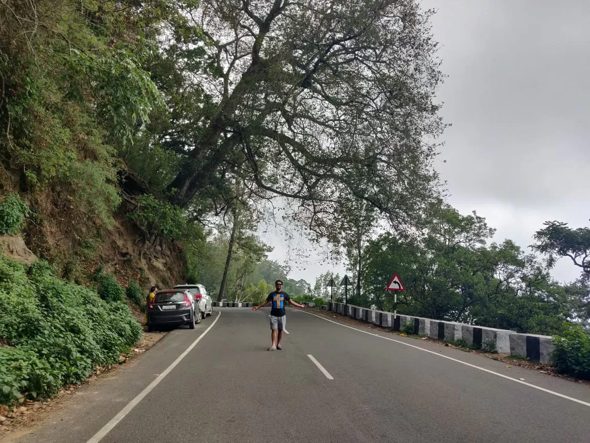 Photo of Bandipur By pallavi tadas