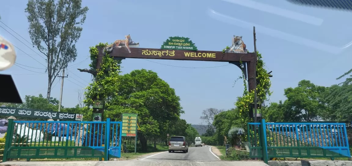 Photo of Bandipur By pallavi tadas