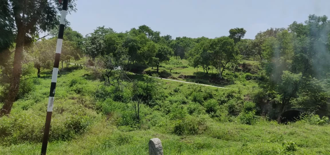 Photo of Bandipur By pallavi tadas