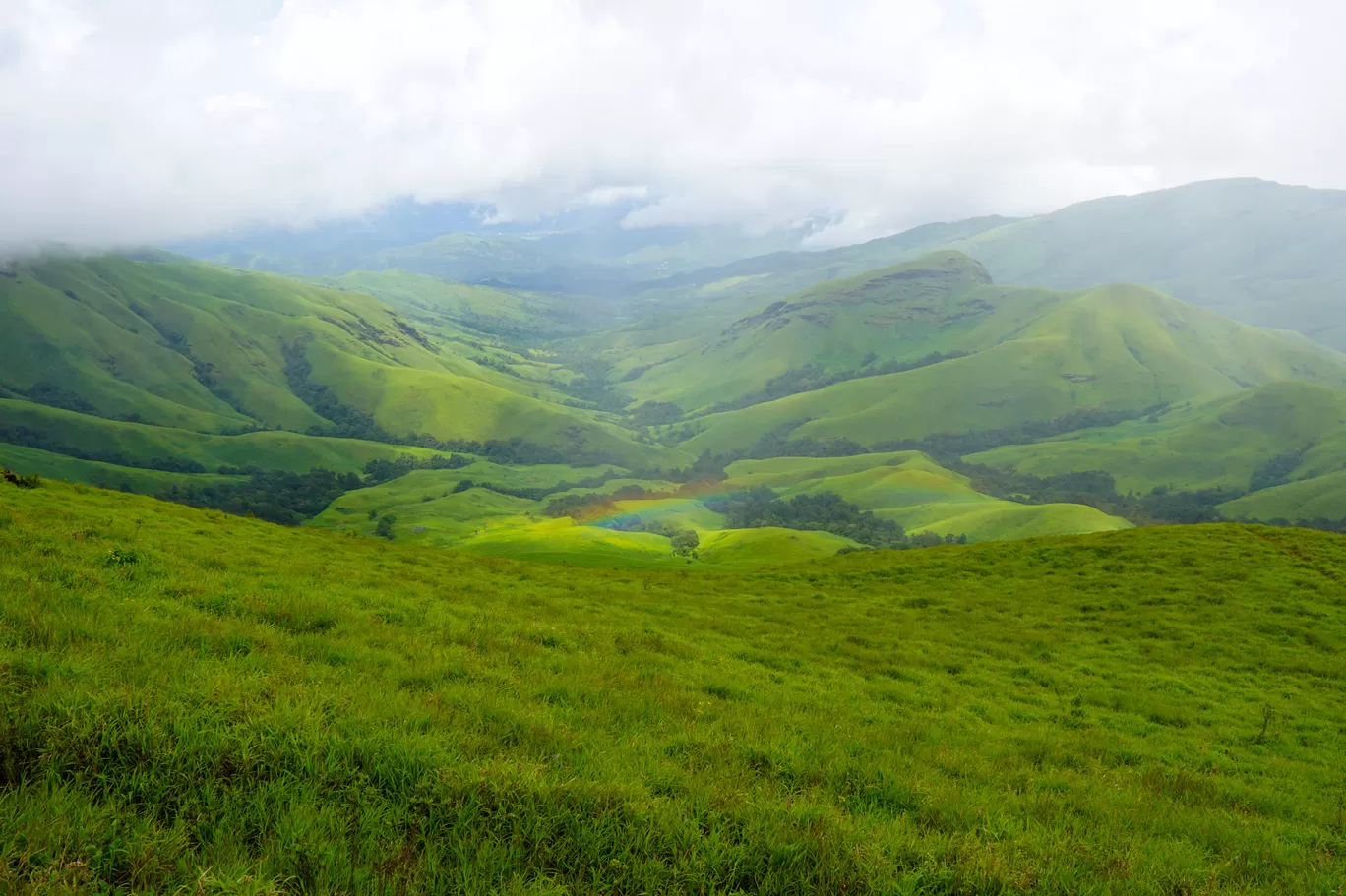 Photo of Kudurekuha By Dikshita Shetty