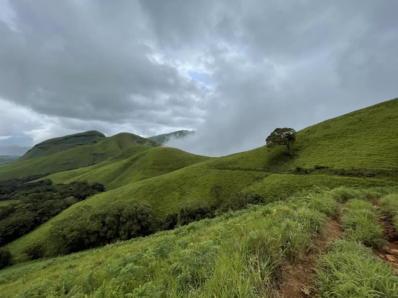 Photo of Kudurekuha By Dikshita Shetty