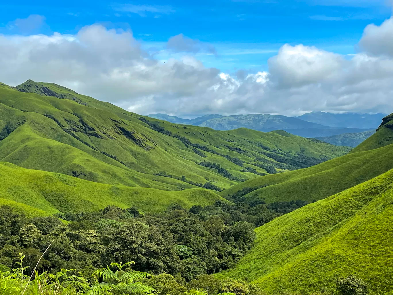 Photo of Kudurekuha By Dikshita Shetty