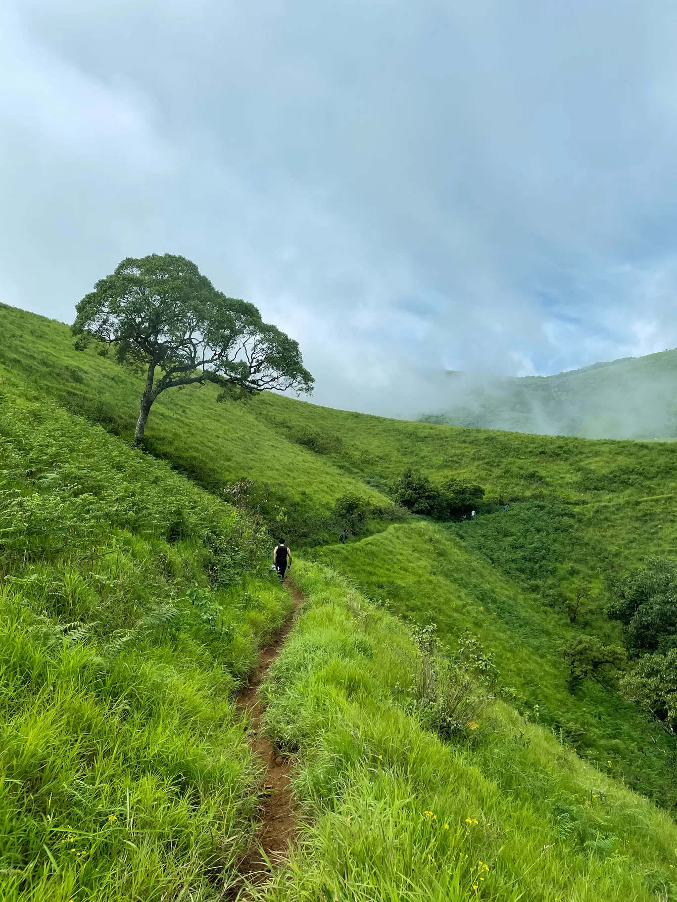 Photo of Kudurekuha By Dikshita Shetty