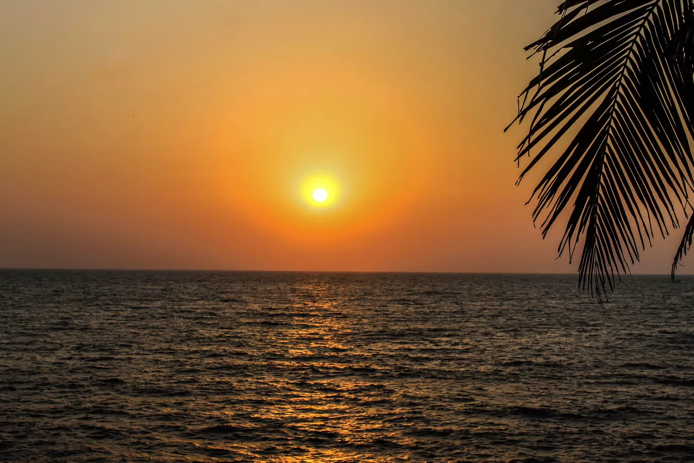 Photo of Goa By Yasmin Mirza