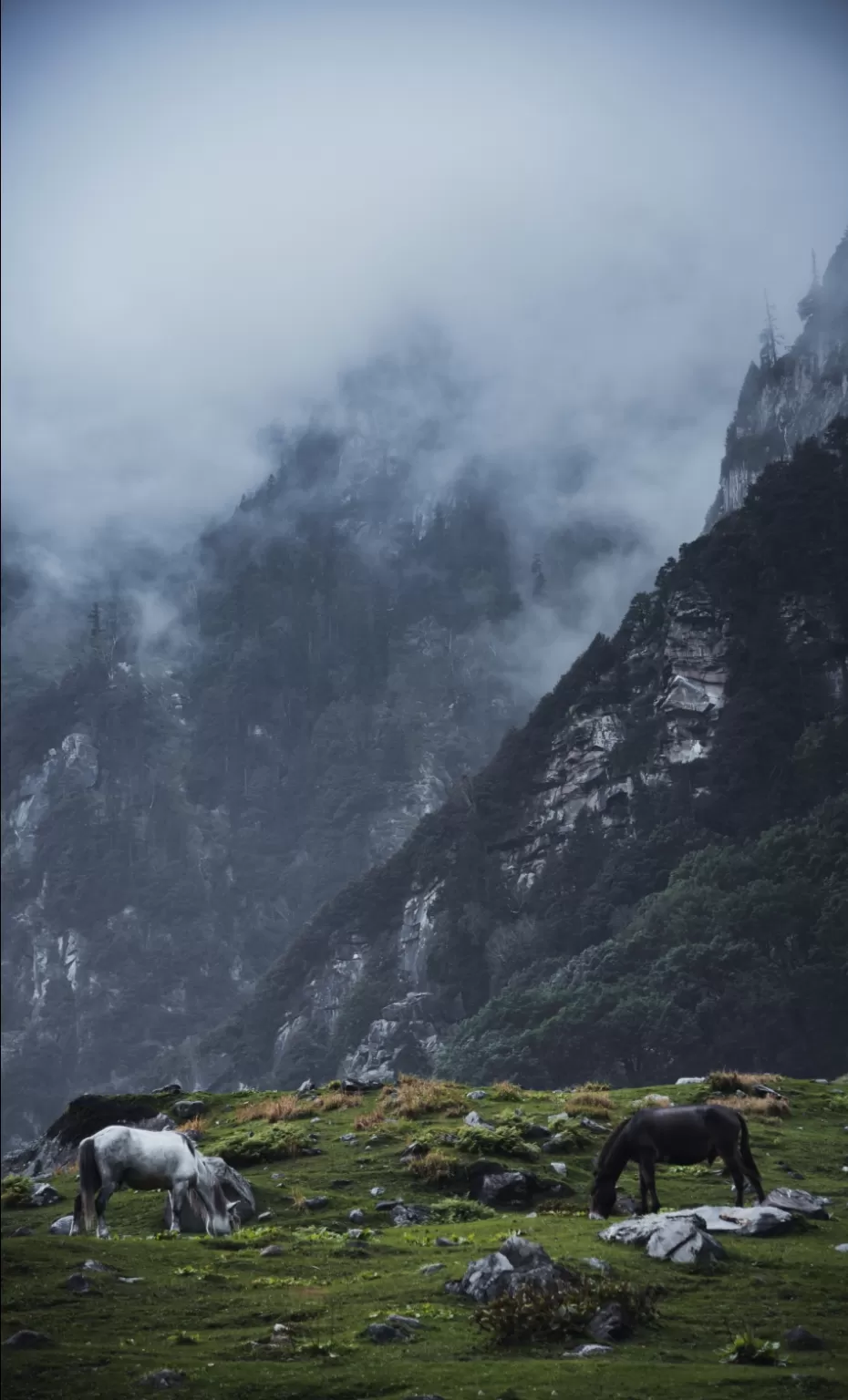 Photo of Hampta By Mayank Joshi