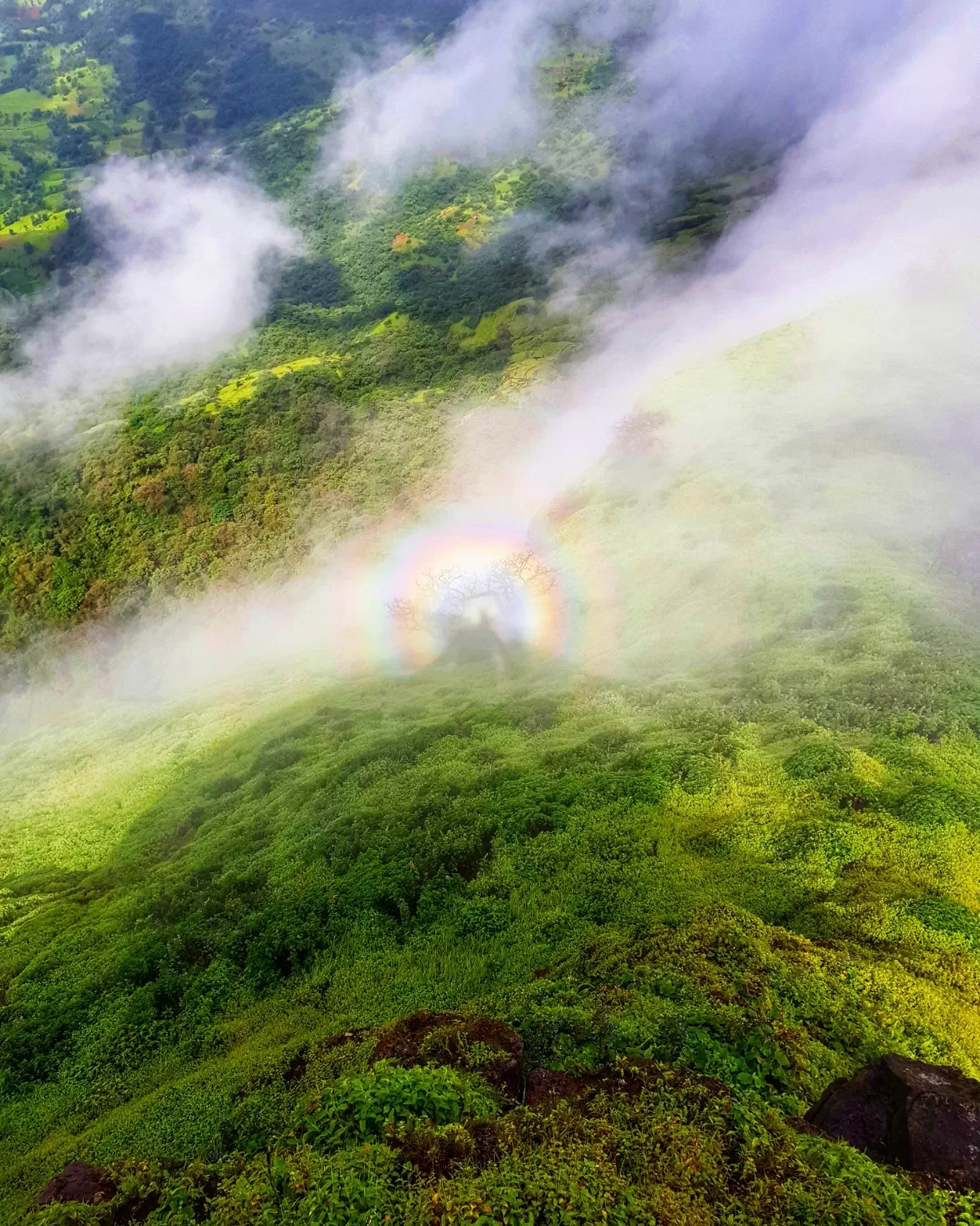 Photo of Harihar Fort By Sanket Jagtap