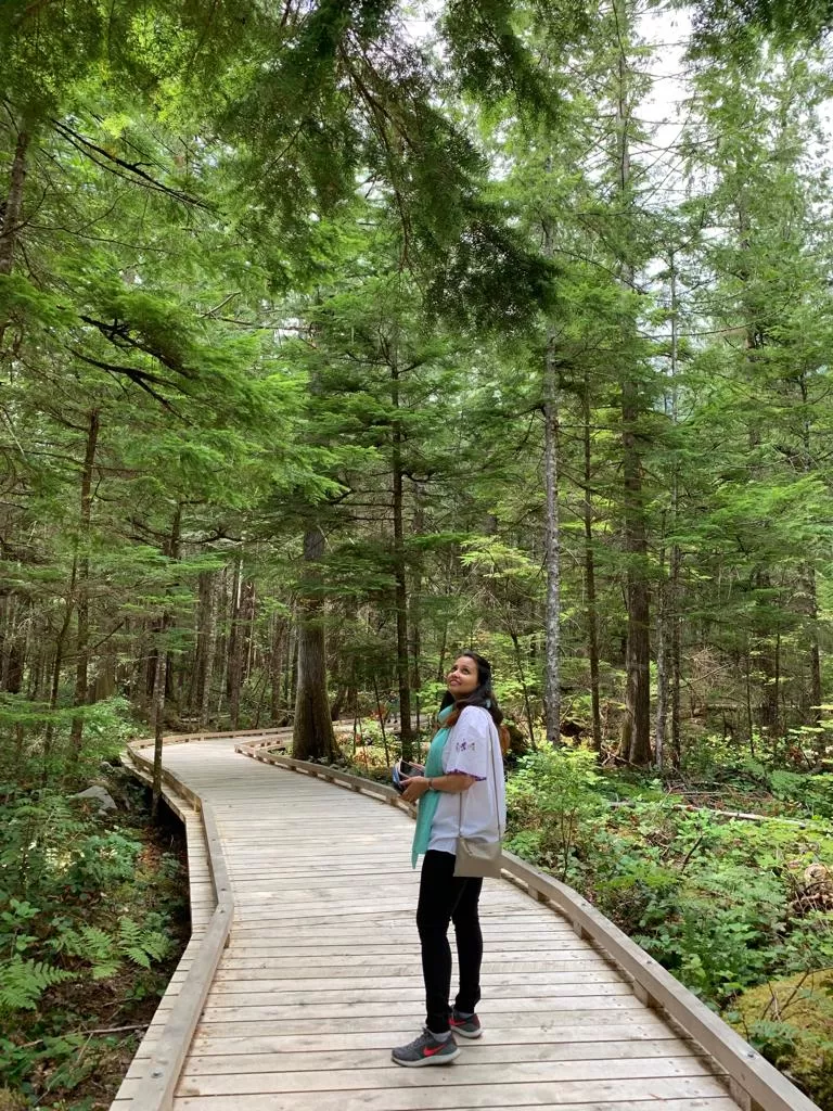 Photo of Diablo Lake By Adrita Khaund