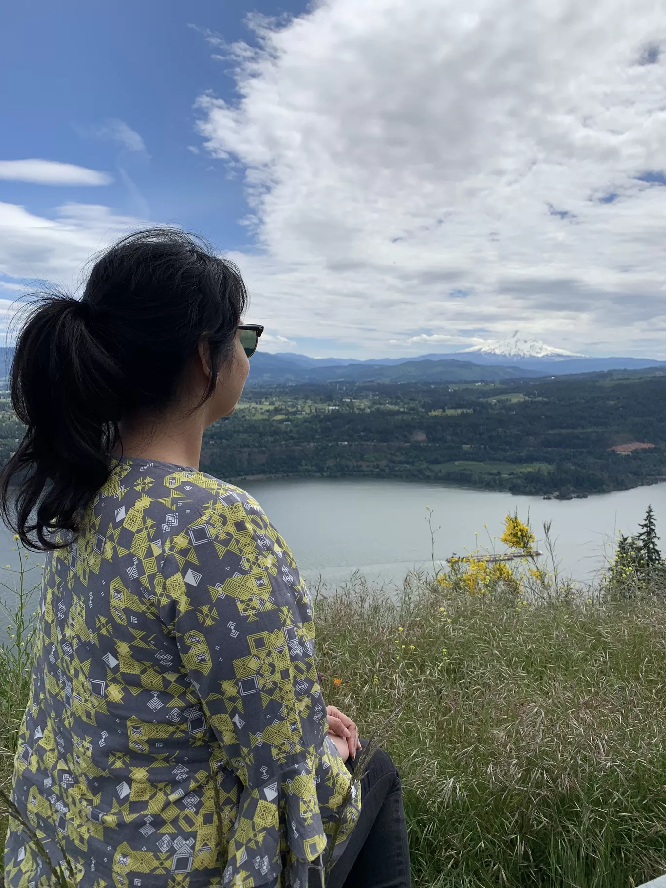 Photo of Mount Hood By Adrita Khaund