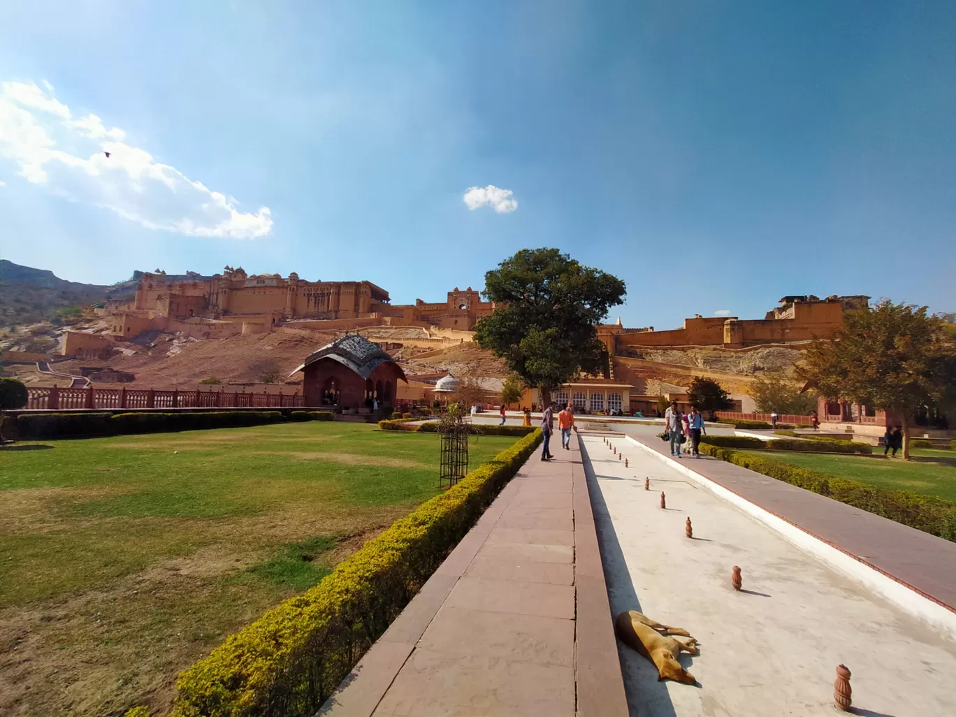Photo of Amber Fort By Saqib Siddique