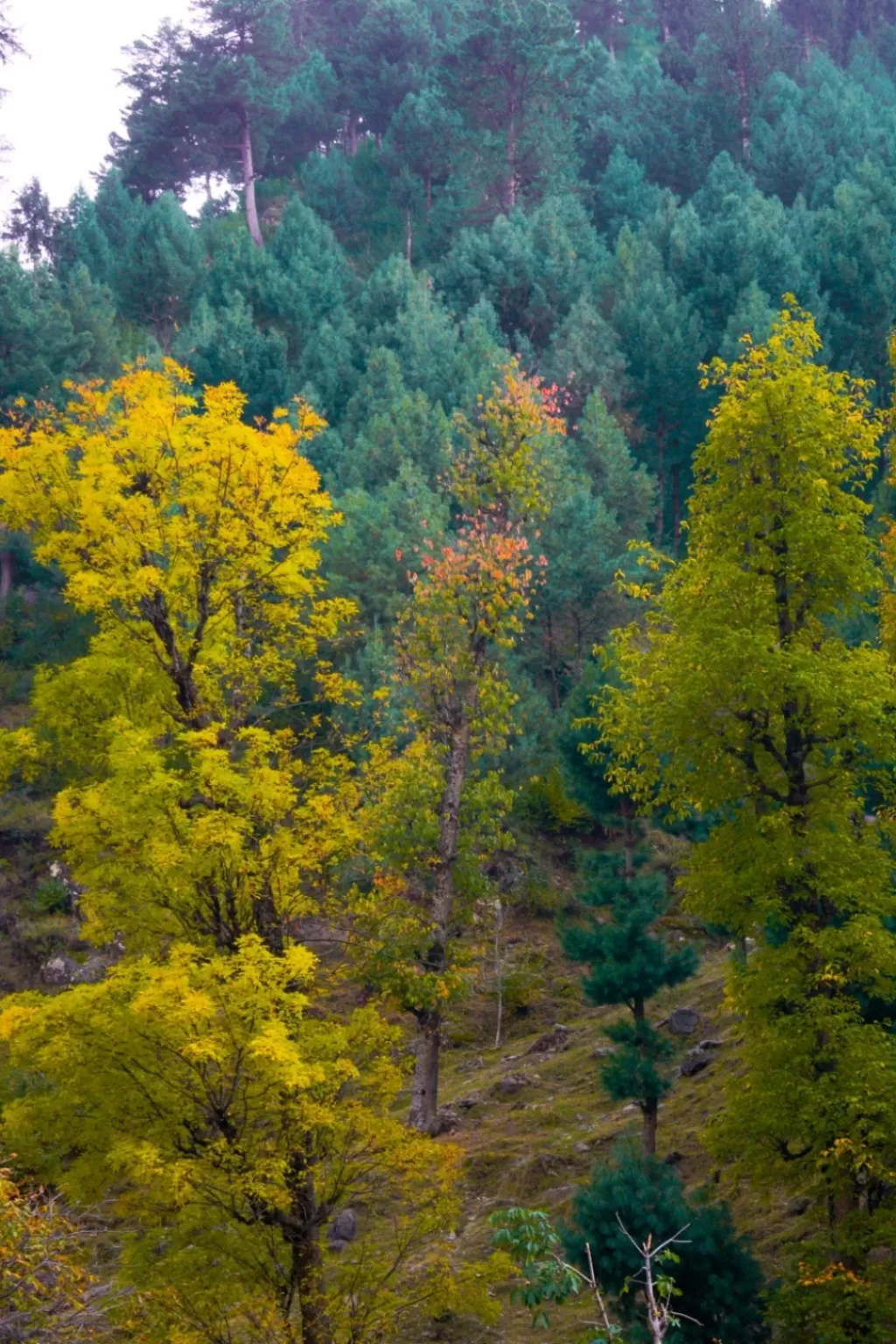 Photo of Bandipora By Raashid Andrabi