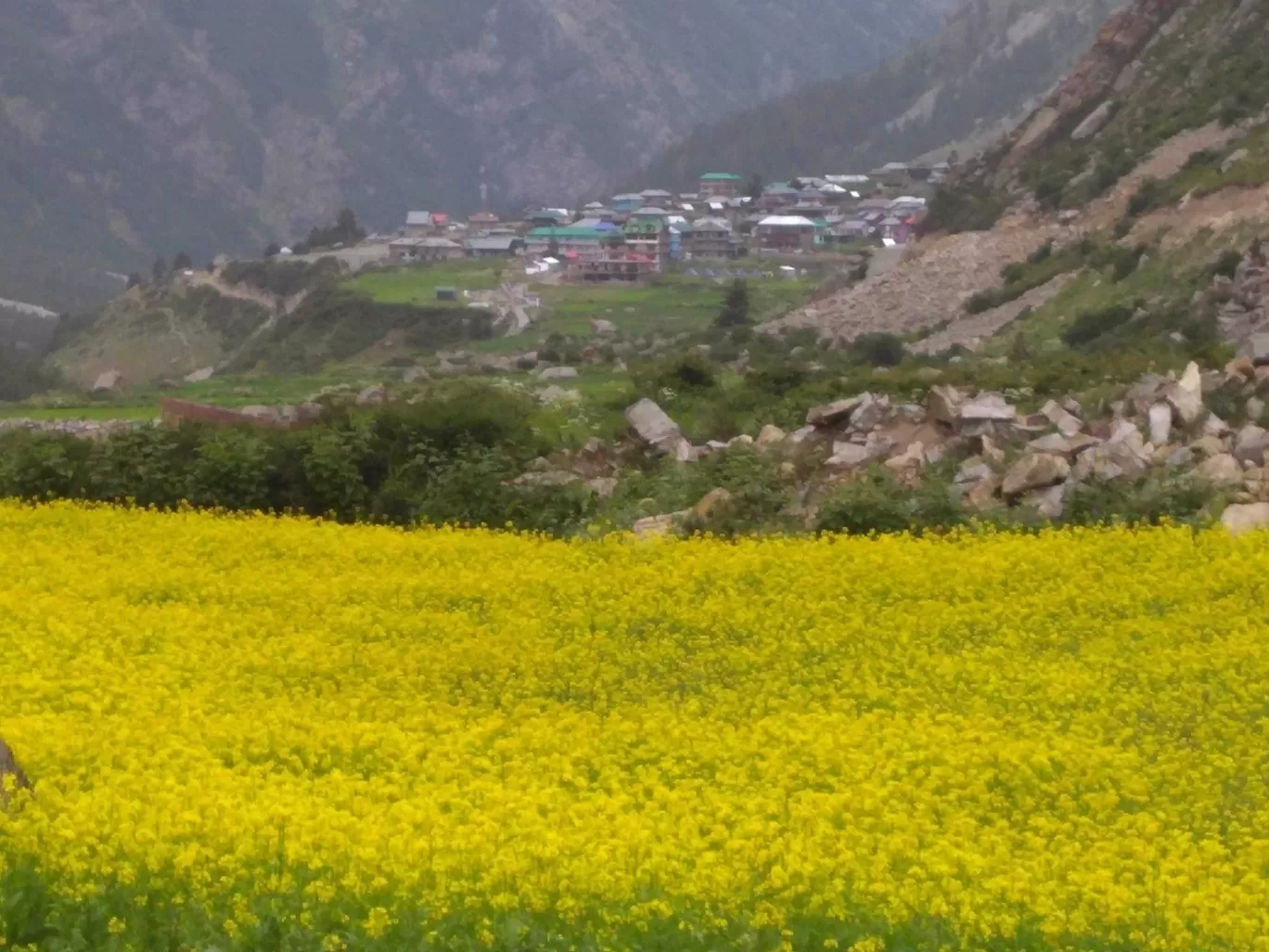 Photo of Chitkul By Solo_sumin61