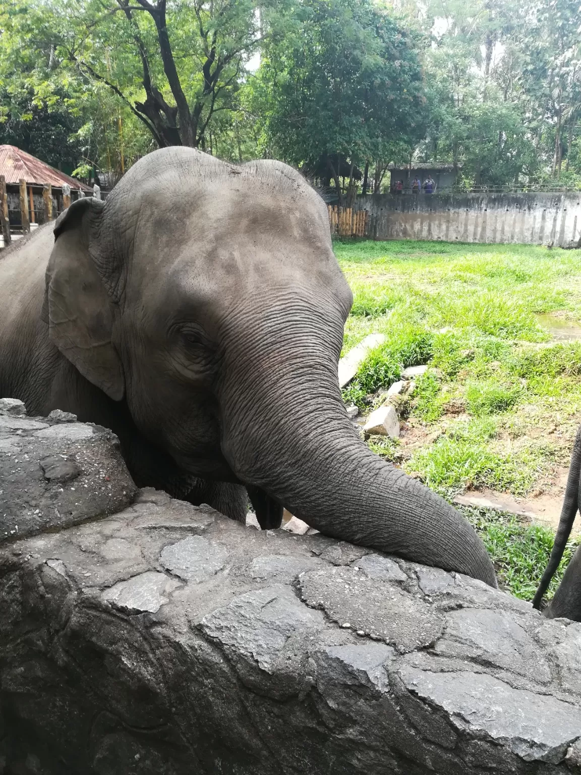 Photo of Yangon Zoological Garden By Ching Khan Nuam