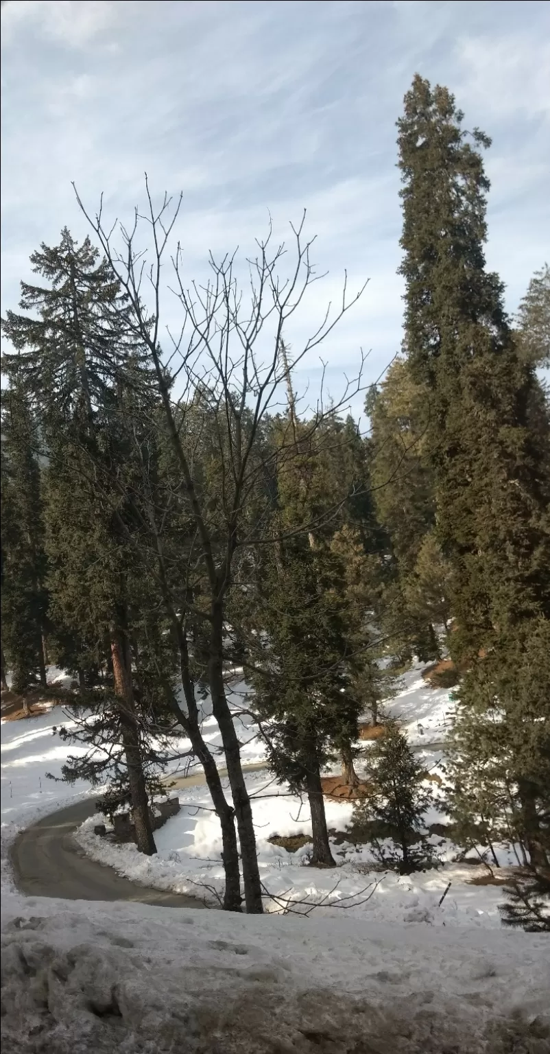 Photo of Jammu and Kashmir By Anushree Khubele