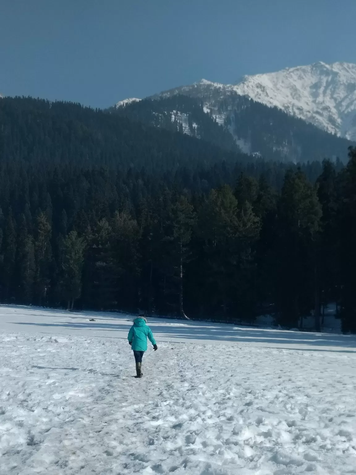 Photo of Jammu and Kashmir By Anushree Khubele
