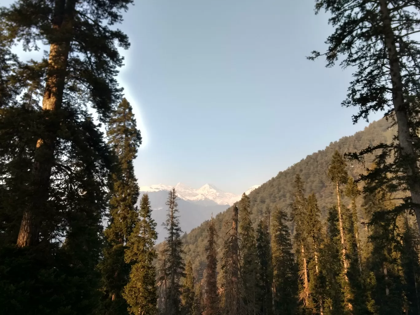 Photo of Jammu and Kashmir By Anushree Khubele