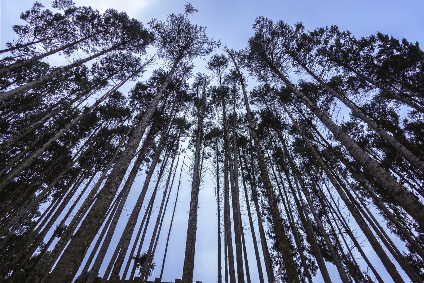 Photo of Ziro By Sumit Misra