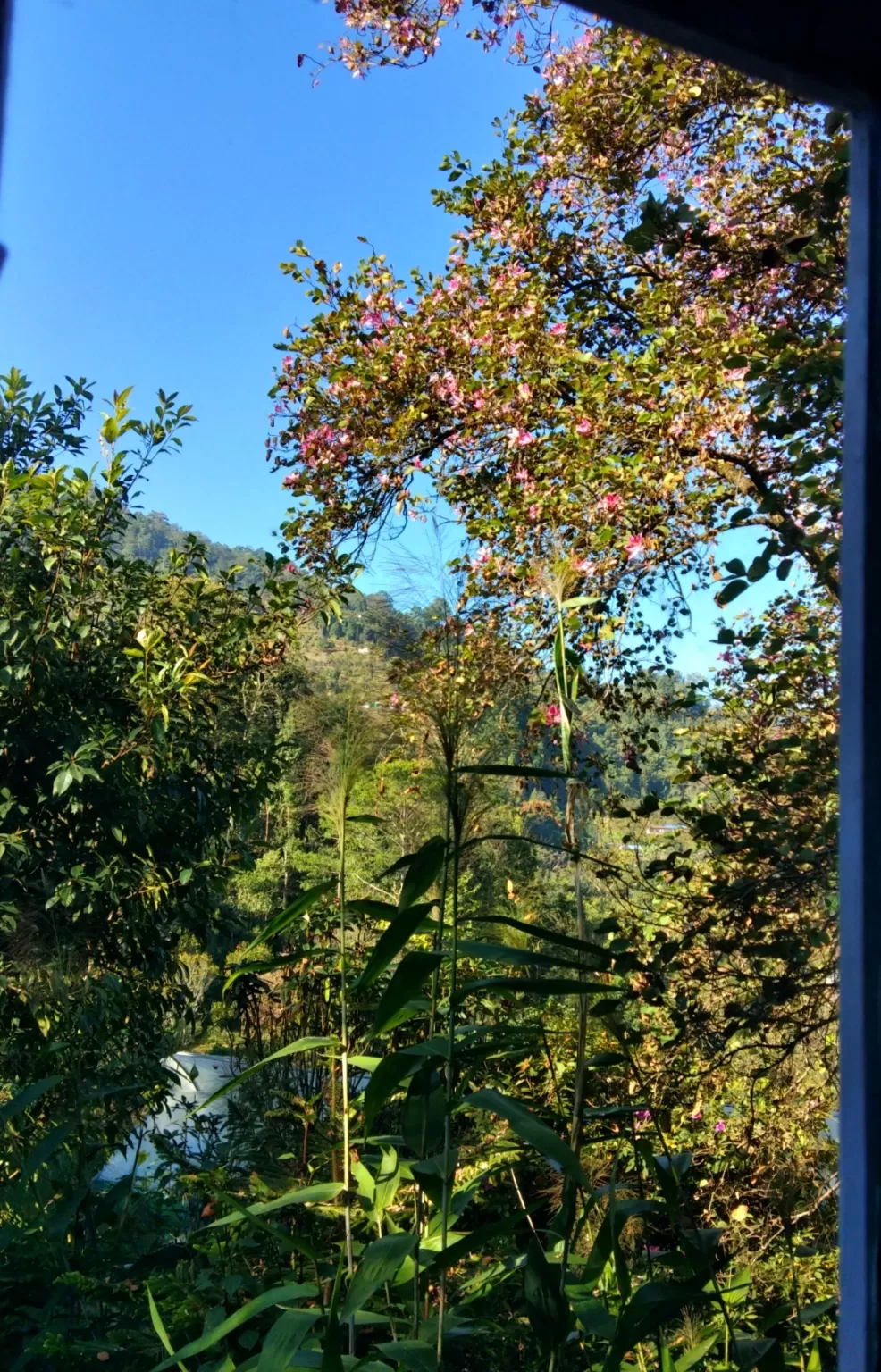 Photo of Rodhighar Homestay By Maumita Bhattacharjee