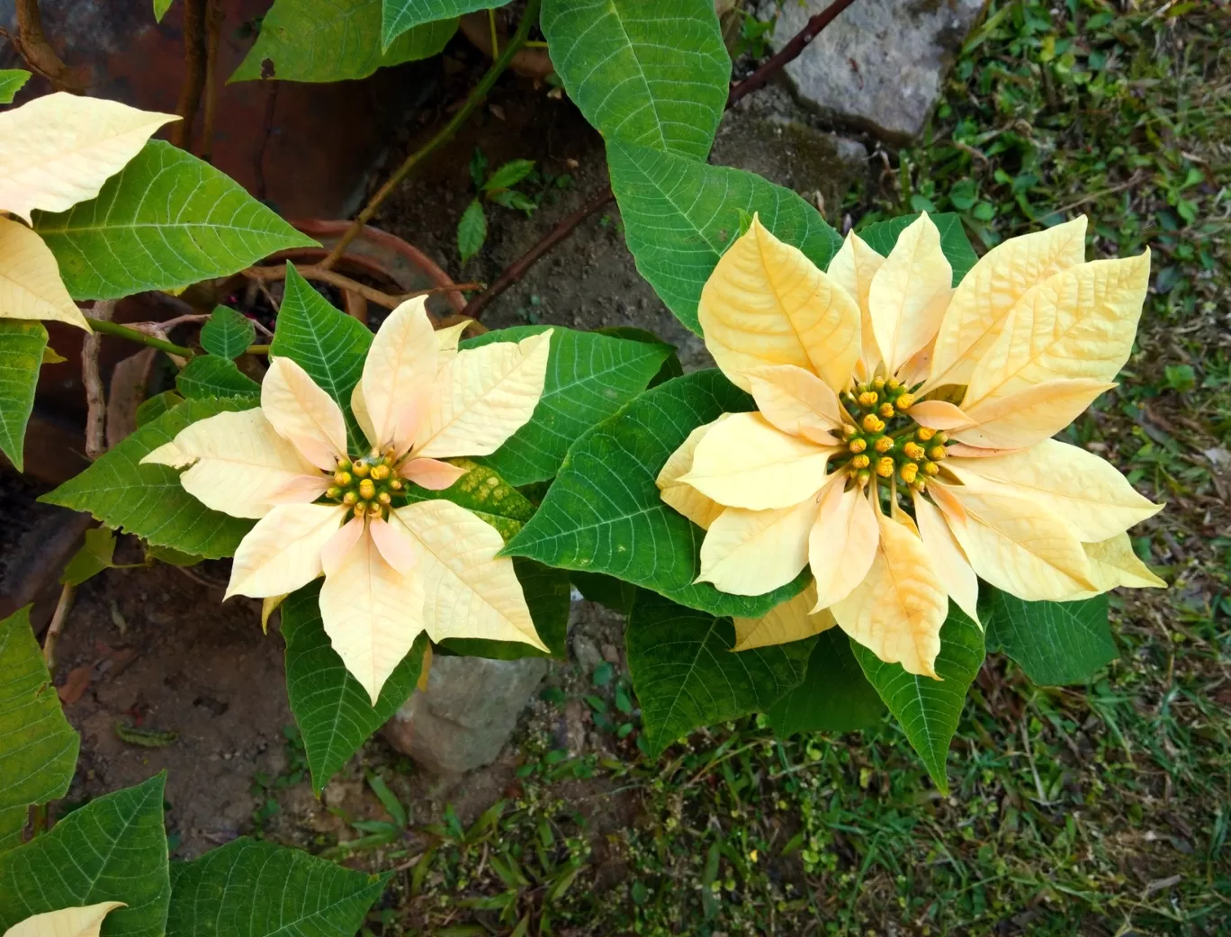 Photo of Rodhighar Homestay By Maumita Bhattacharjee