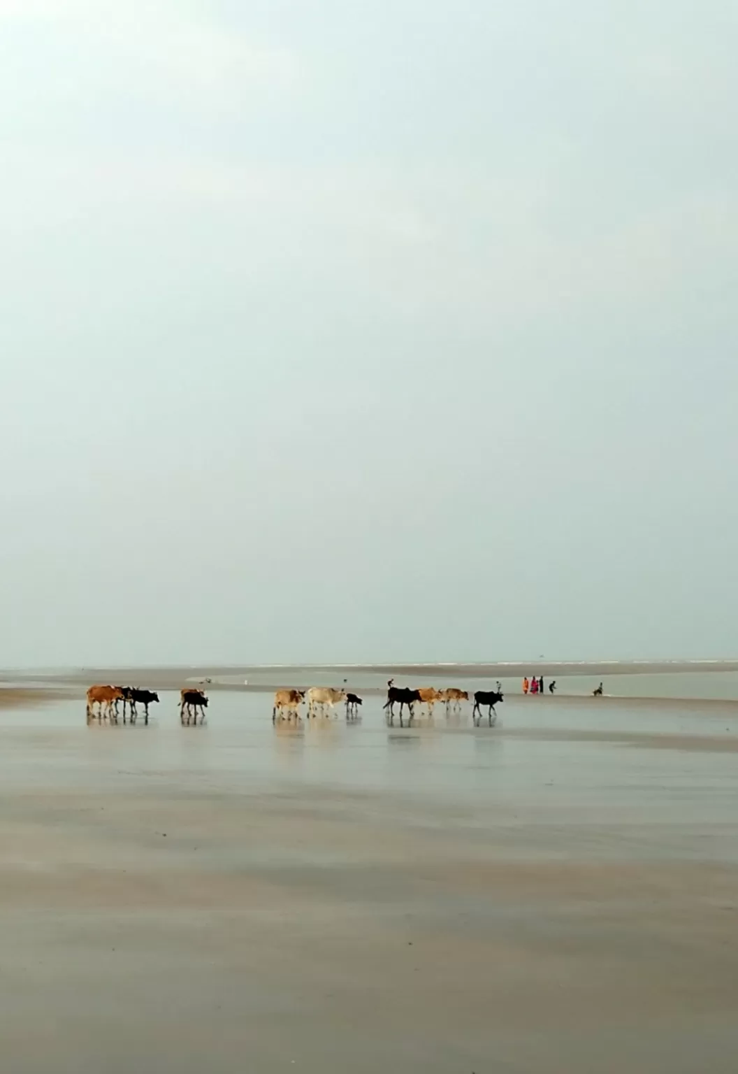 Photo of Digha By Maumita Bhattacharjee