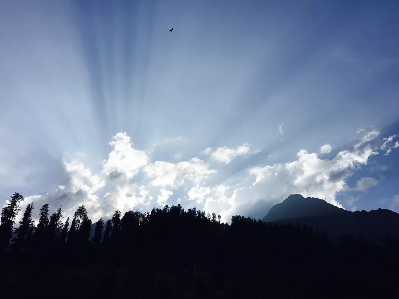 Photo of Kanyal Road By jagruti mistry