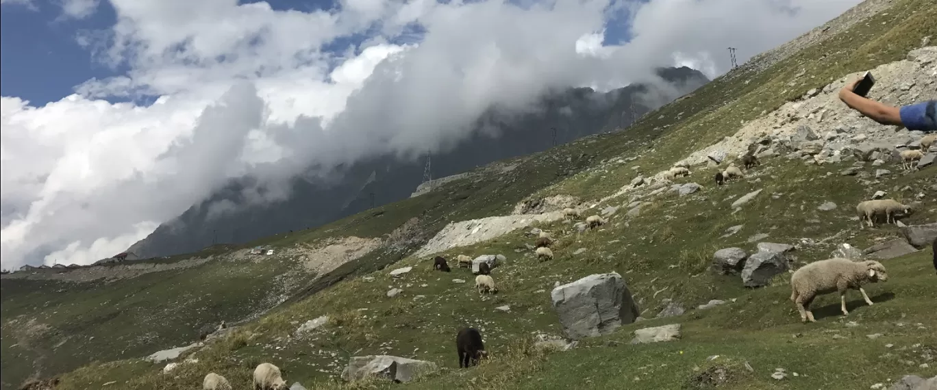 Photo of Finally Leh' ed By jagruti mistry