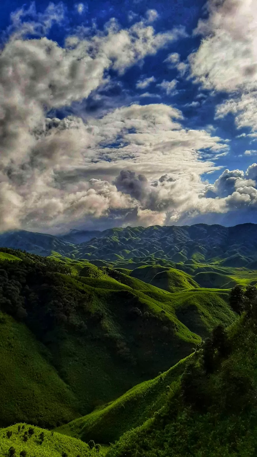 Photo of Dzükou Valley Trek By Deepak samal