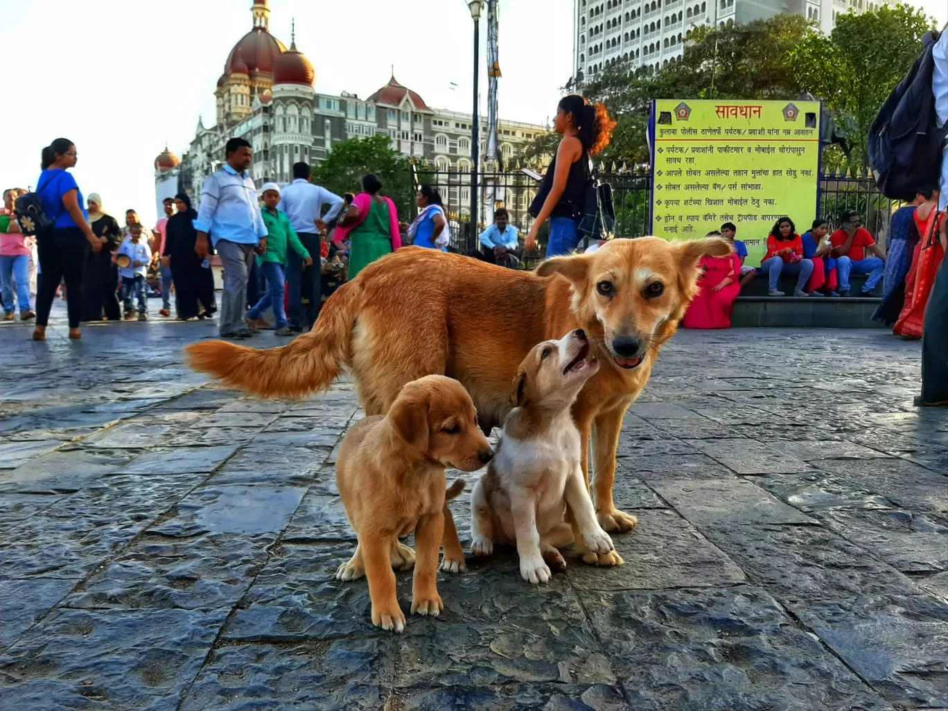 Photo of Mumbai By Deepak samal