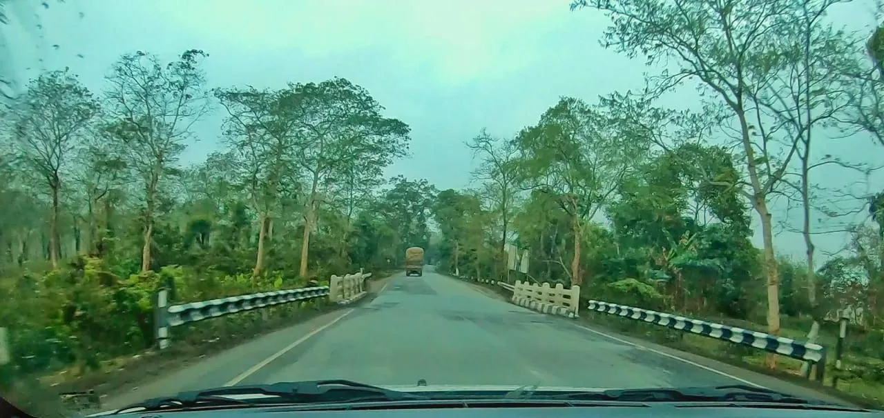 Photo of Assam By Gargee Dutta