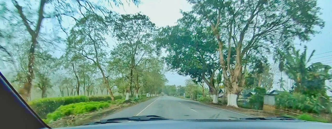 Photo of Assam By Gargee Dutta