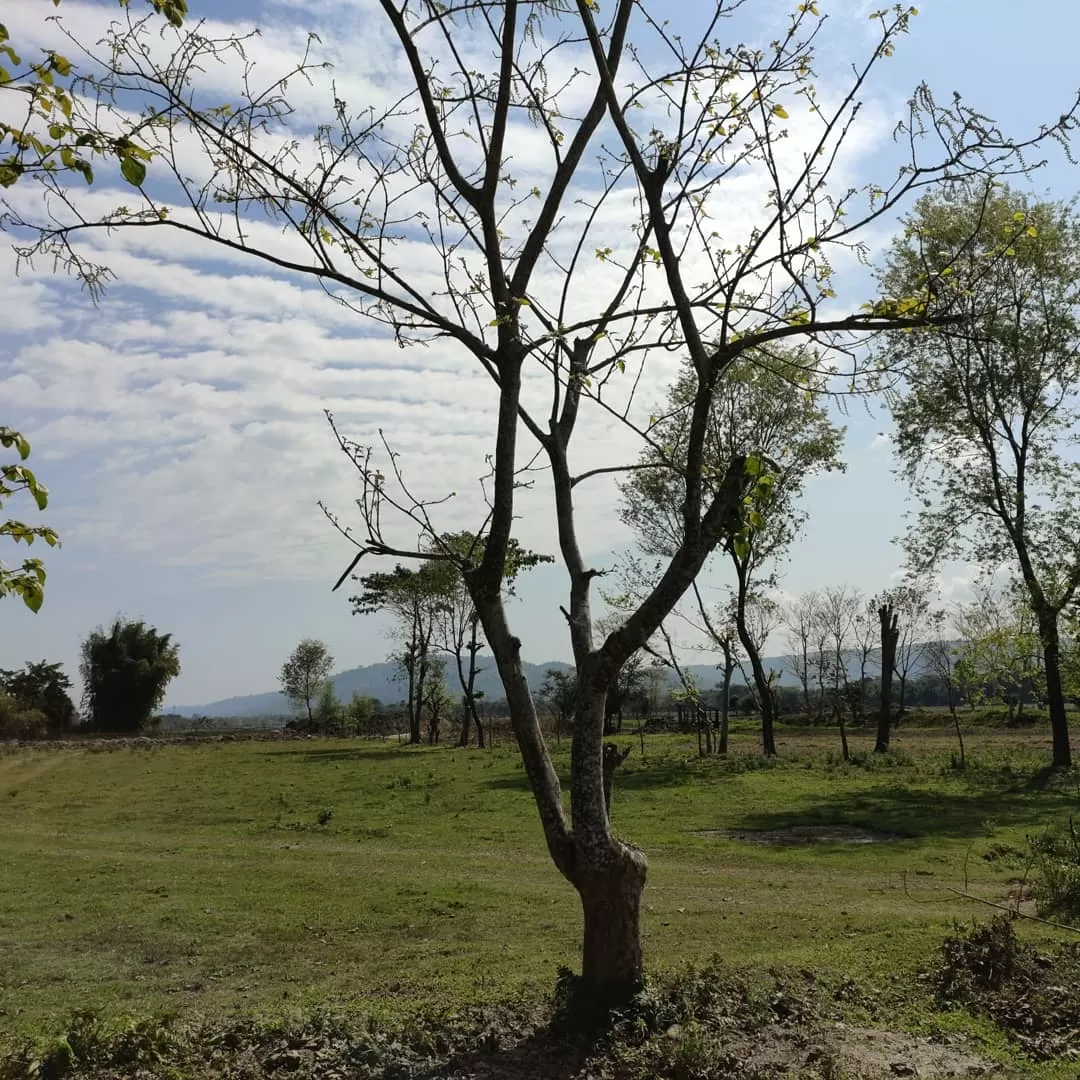 Photo of Assam By Gargee Dutta
