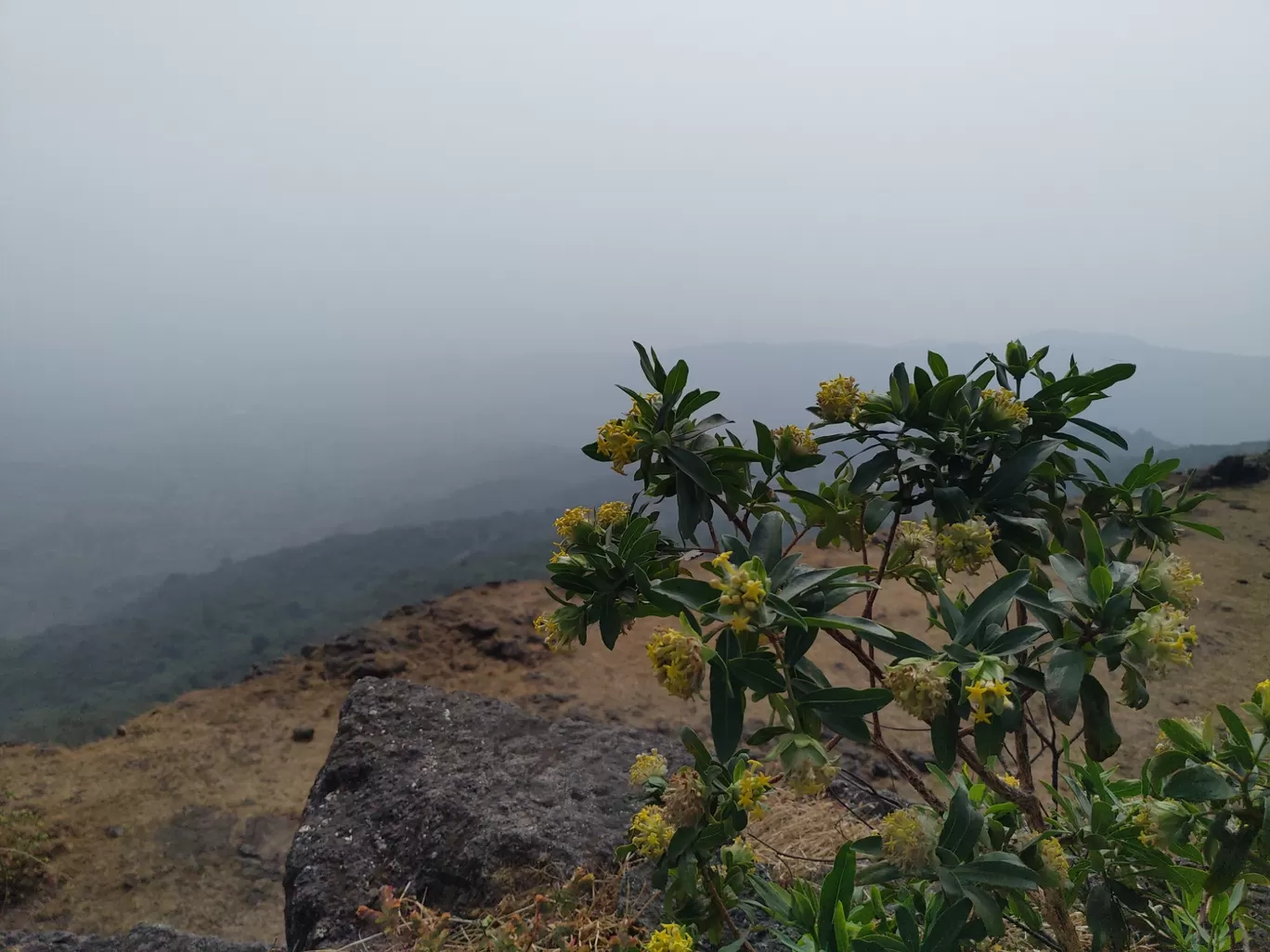 Photo of Visapur Fort By vinod Mahajan