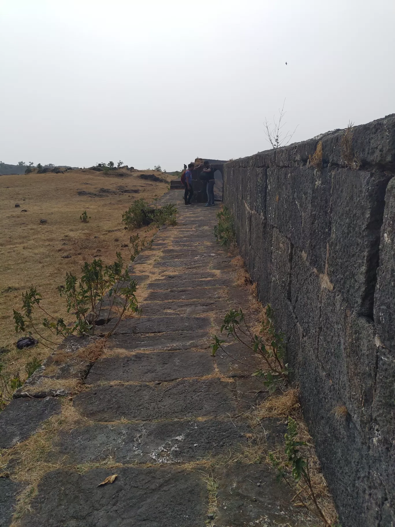 Photo of Visapur Fort By vinod Mahajan