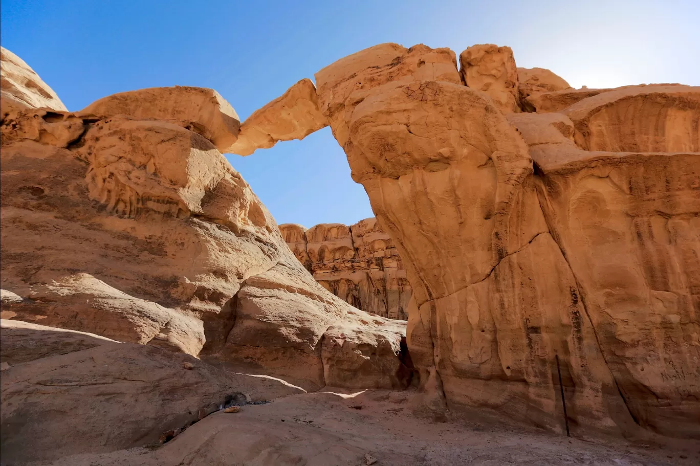 Photo of Wadi Rum Village By Ankita JaisWal