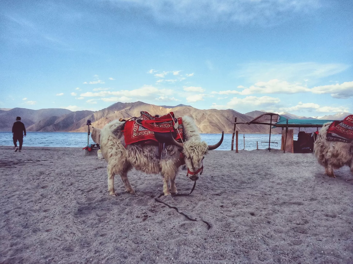 Photo of Ladakh By Pratyush Rai