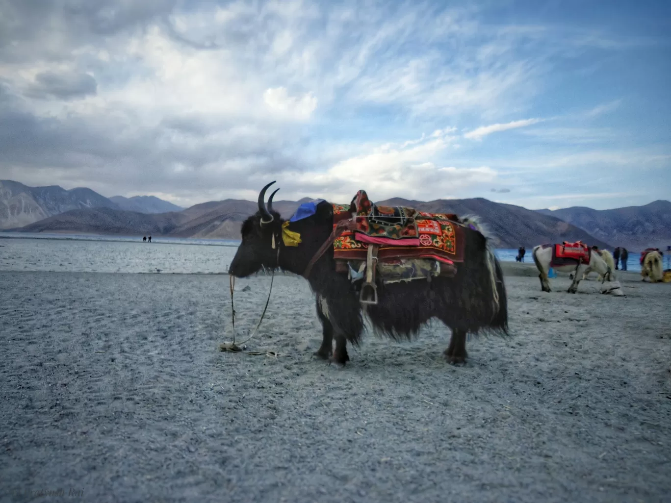 Photo of Ladakh By Pratyush Rai
