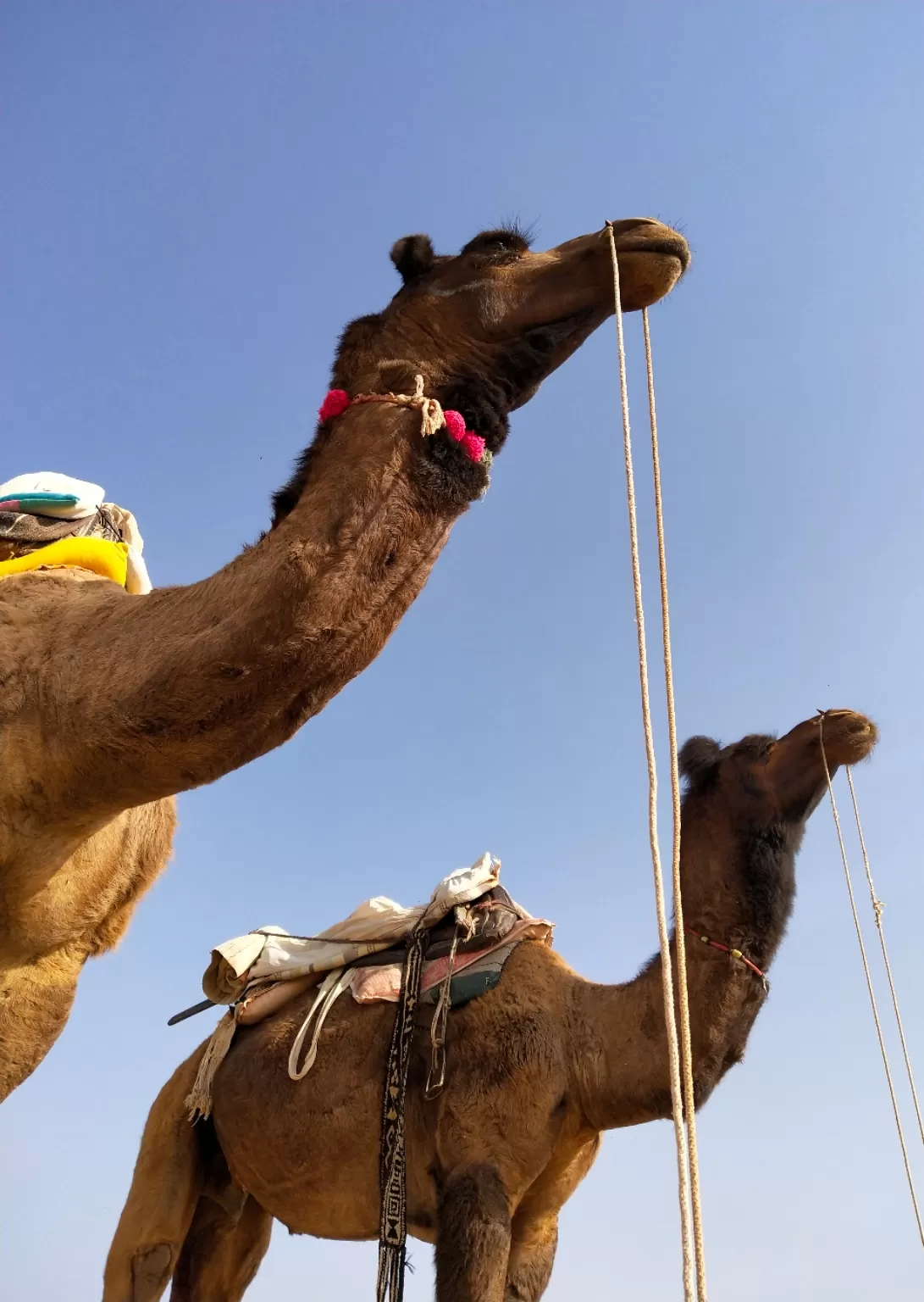 Photo of Pushkar By ReelOfWorld