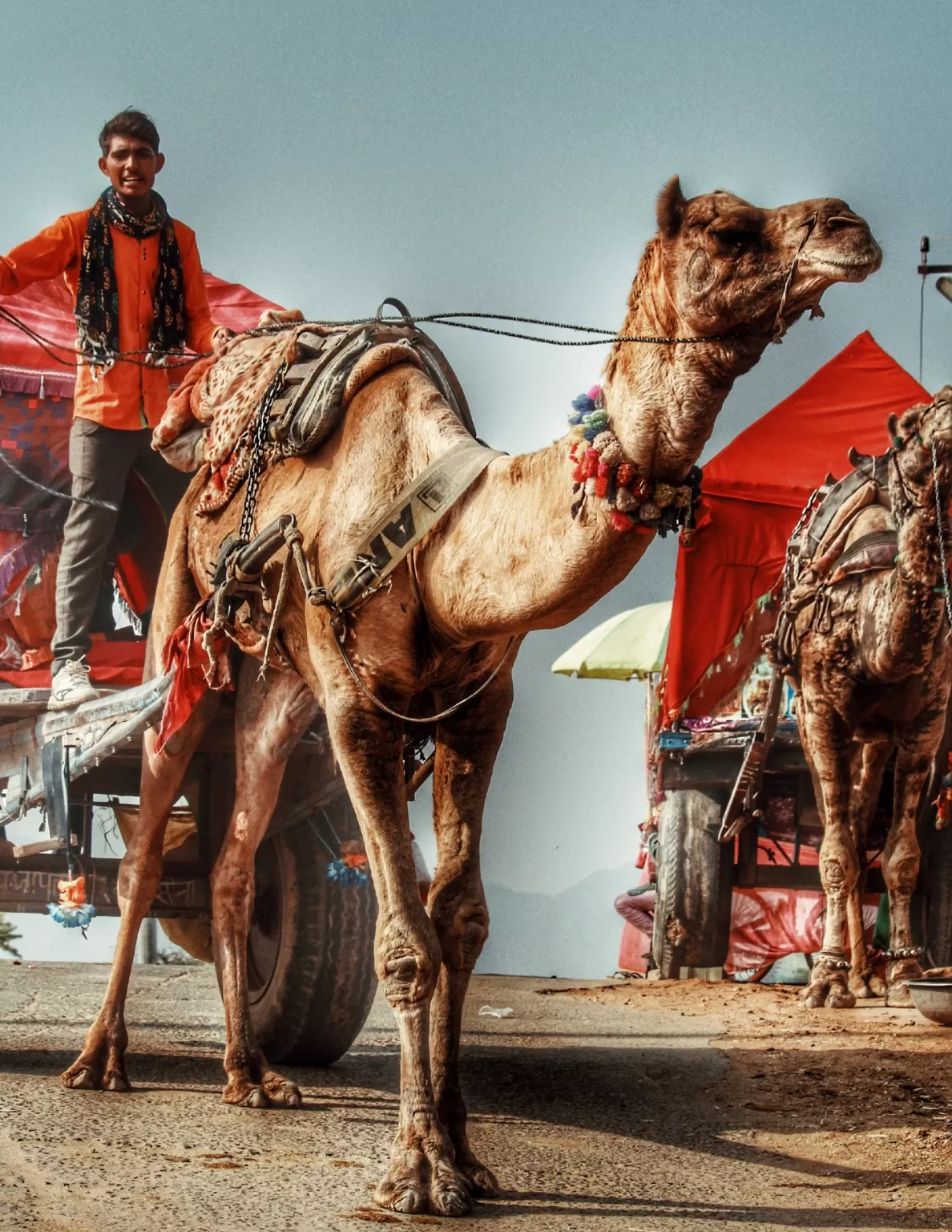 Photo of Pushkar By ReelOfWorld