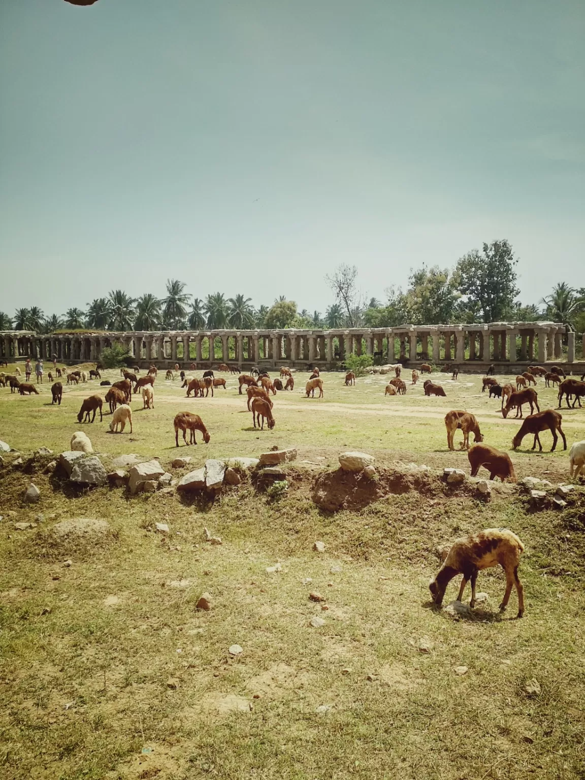 Photo of Hampi By Smash