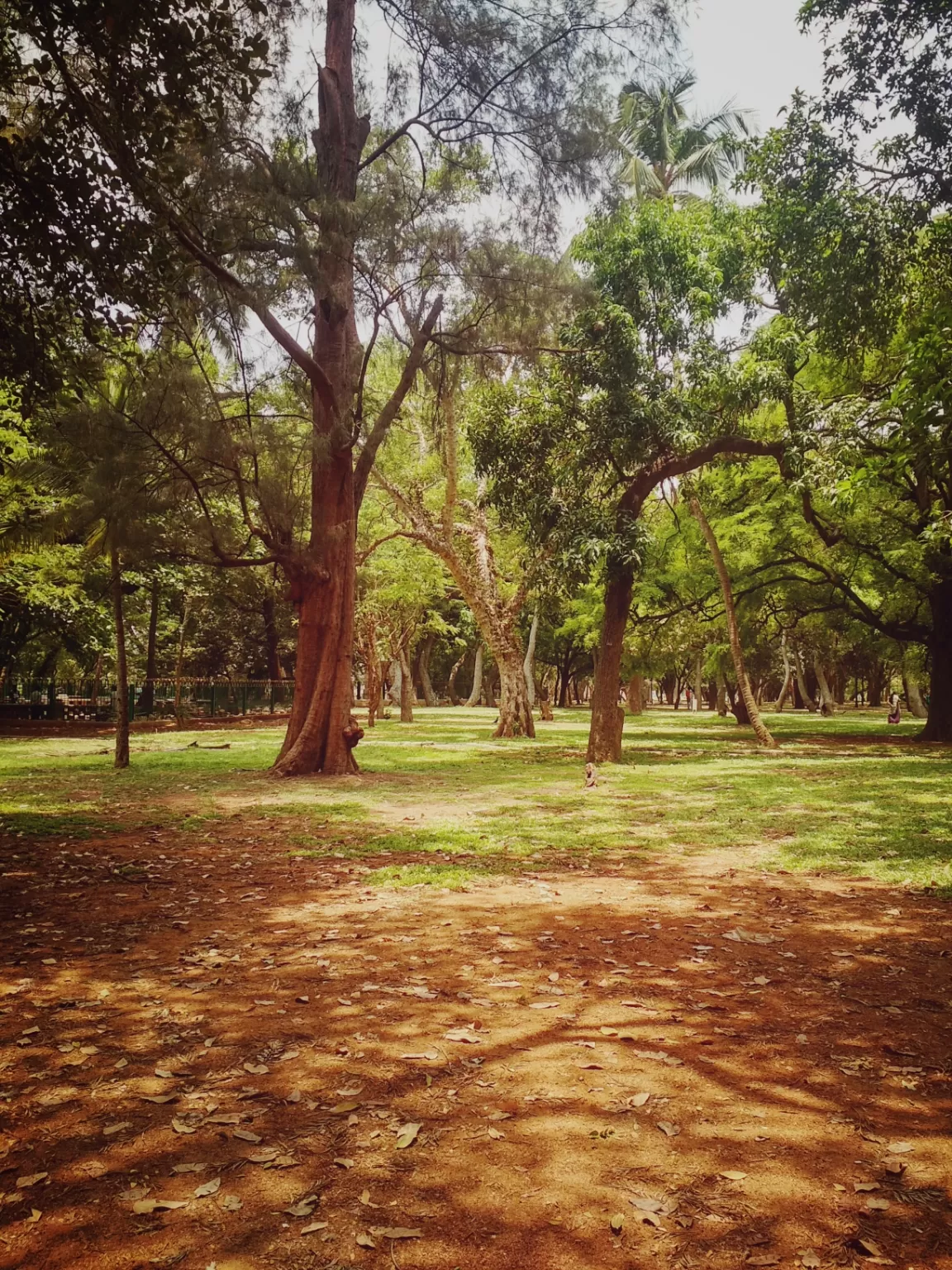 Photo of Lalbagh Botanical Garden By Smash