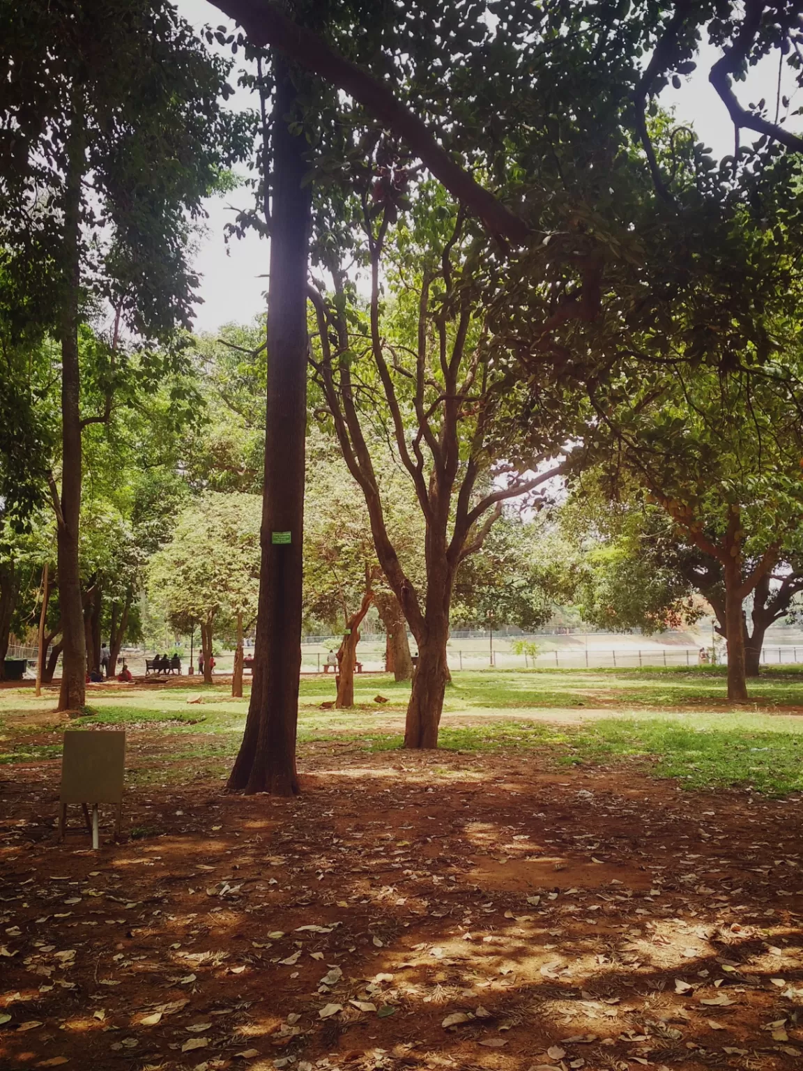 Photo of Lalbagh Botanical Garden By Smash